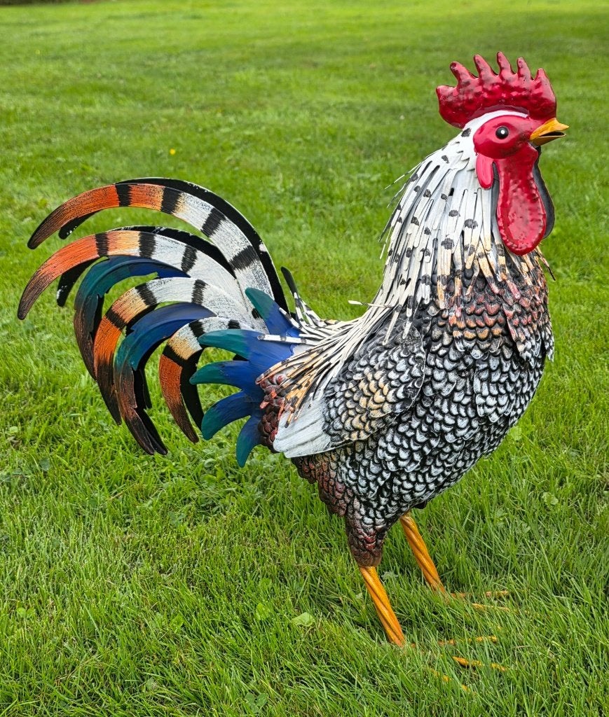 Haan  / Hen / metaal / kippen / NIEUW, Dierenbeeld, Nieuw, Metaal, Info@huisentuindecoratiemarie.nl