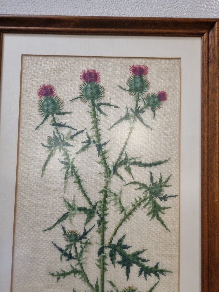 geborduurd schilderij distel in houten lijst, Ophalen of Verzenden, 'T Olde Gre-j, Info@toldegrej.nl, Endepoelstraat 20f Didam