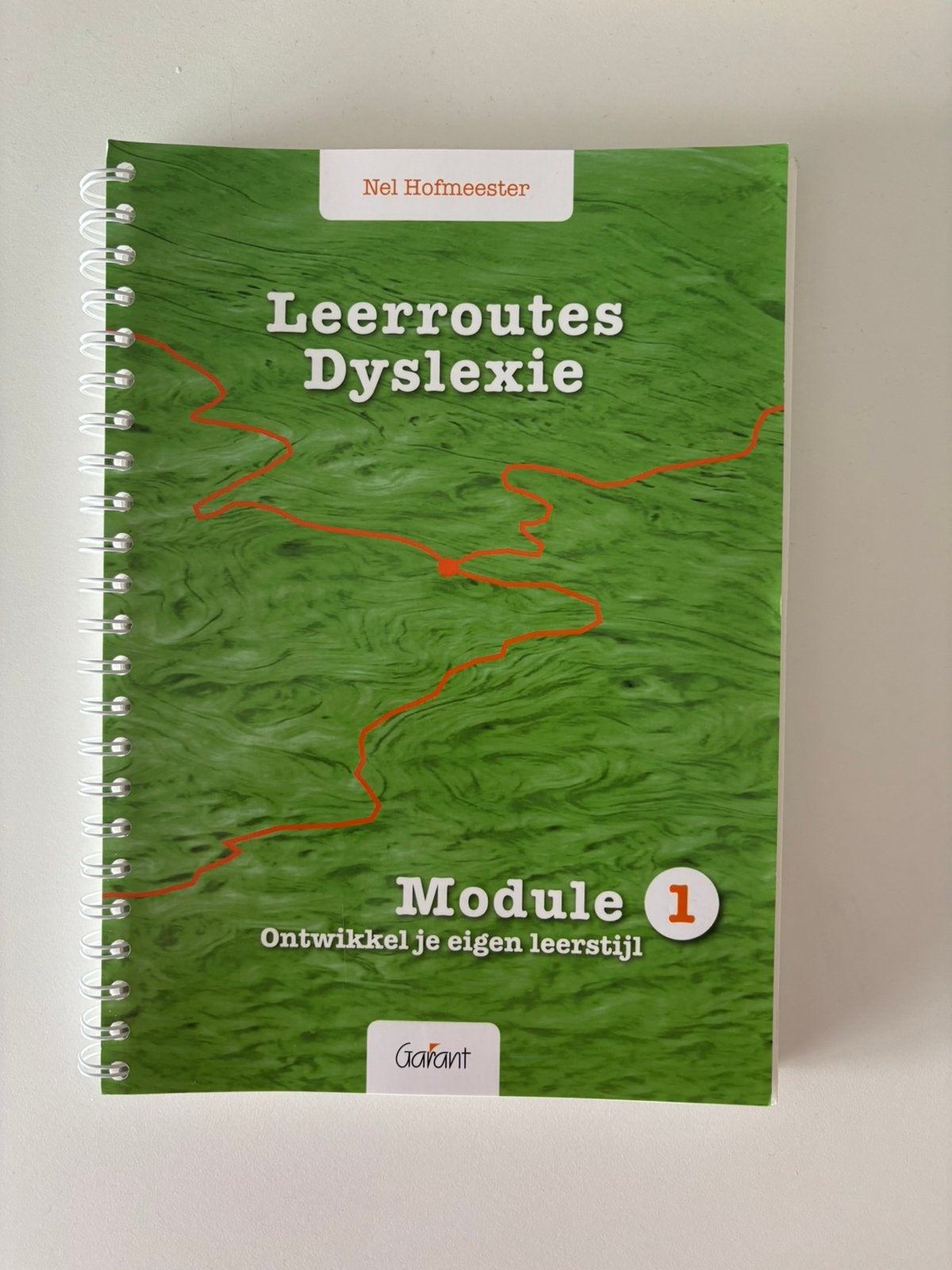 Leerroutes dyslexie, Boeken, Schoolboeken, Ophalen of Verzenden, Zo goed als nieuw, Overige niveaus