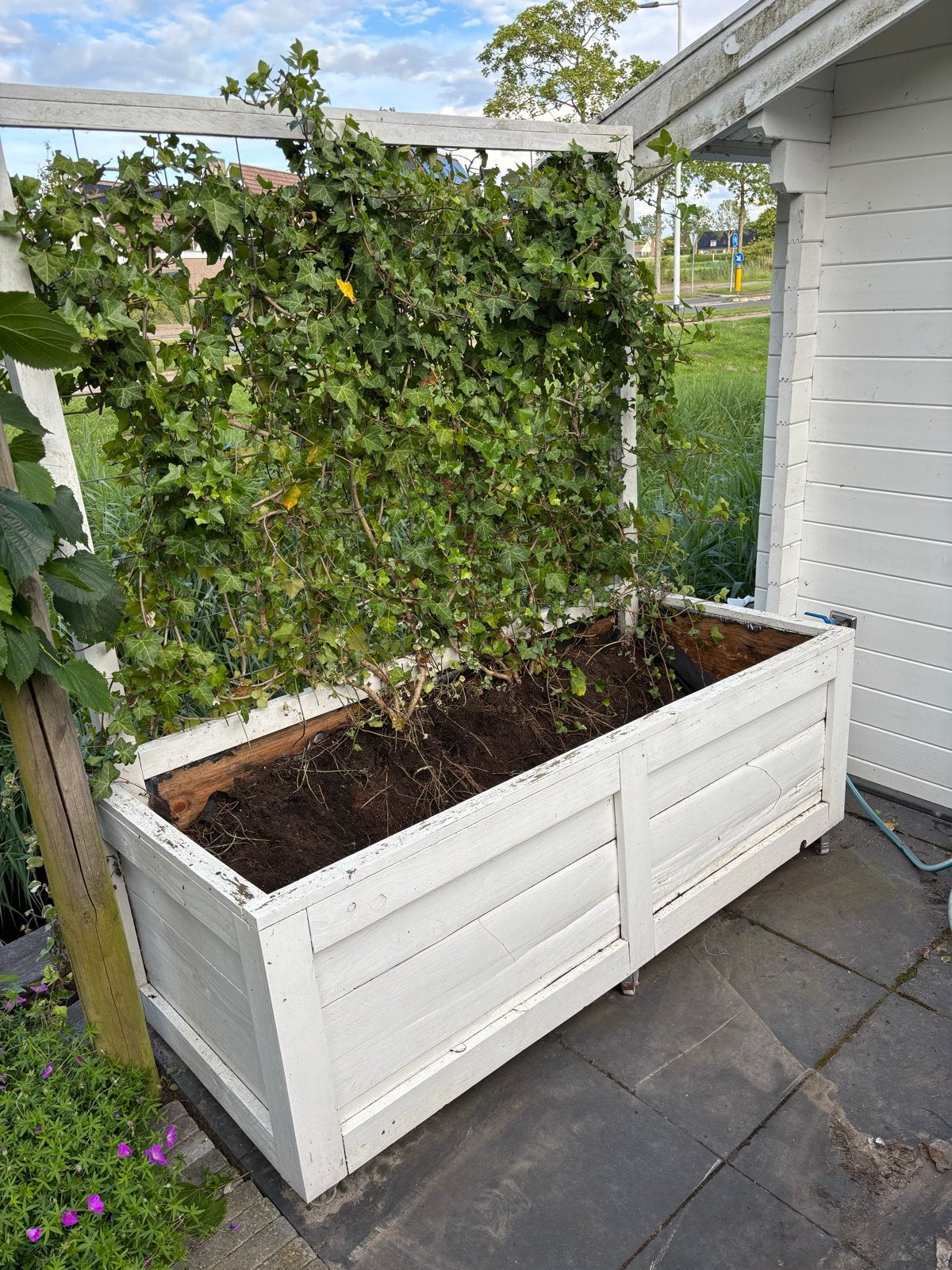 Gratis grote houten plantenbak met klimrek (165x70x55 cm), Tuin en Terras, Ophalen, Gebruikt, 100 cm of meer, Balkon