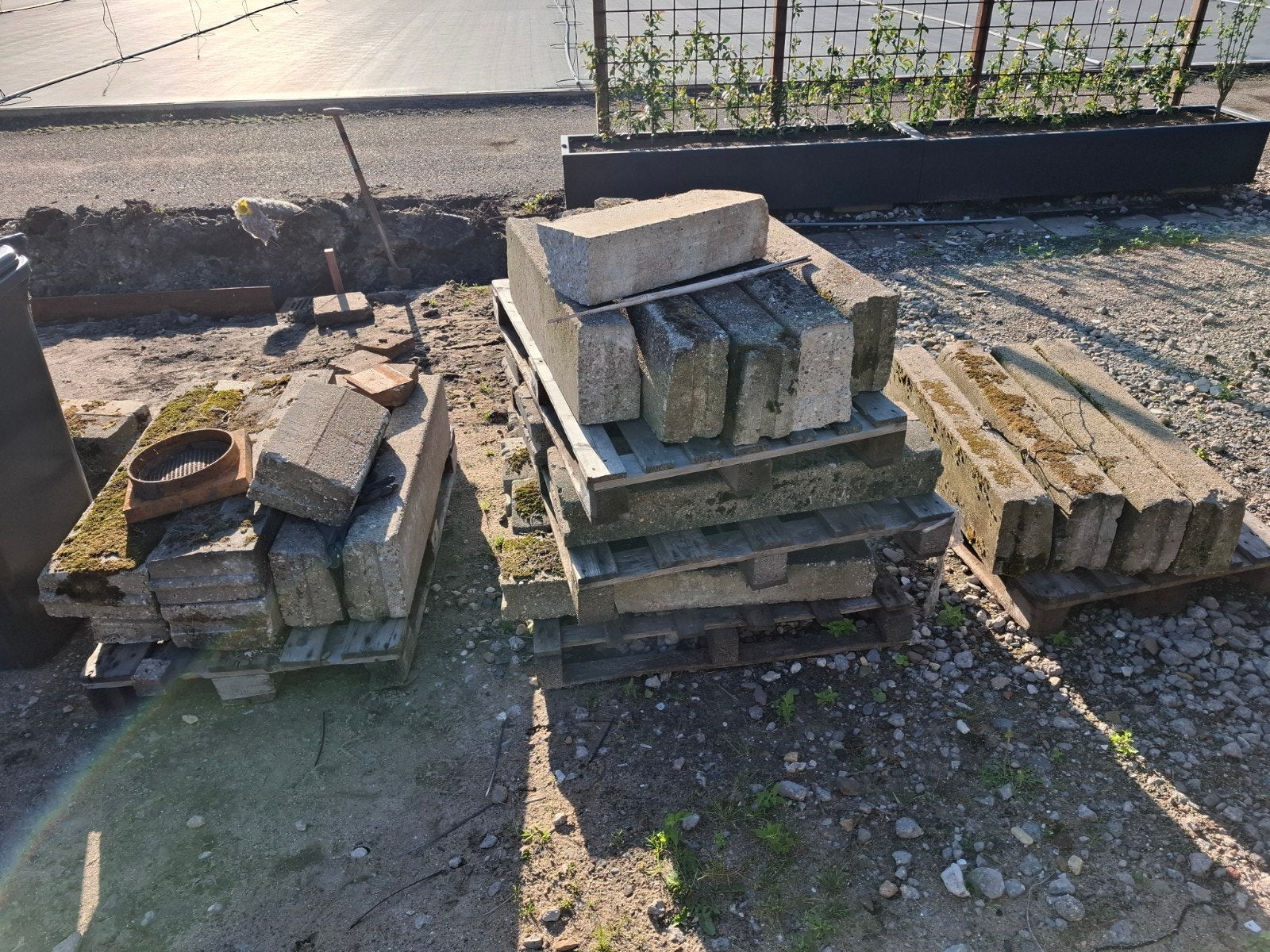 Betonbanden - circa 20 stuks, Ophalen, Overige materialen, Gebruikt, Overige typen