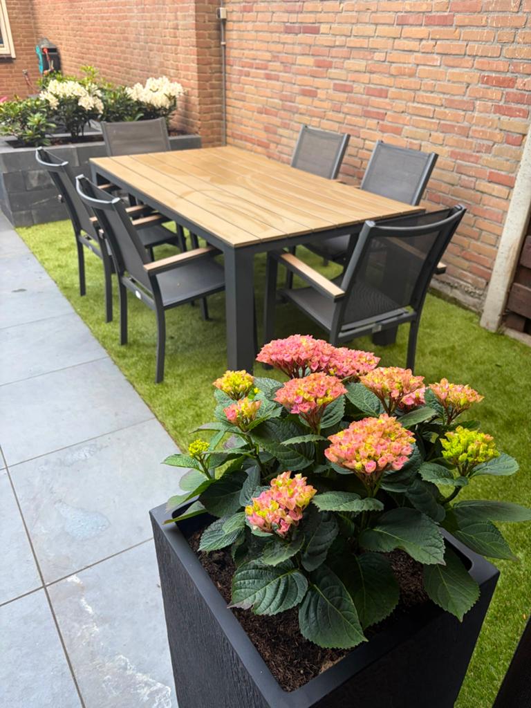 Moderne tuinset met 6 stoelen - Bois Le Duc, Ophalen, Eettafel, 6 zitplaatsen, Aluminium