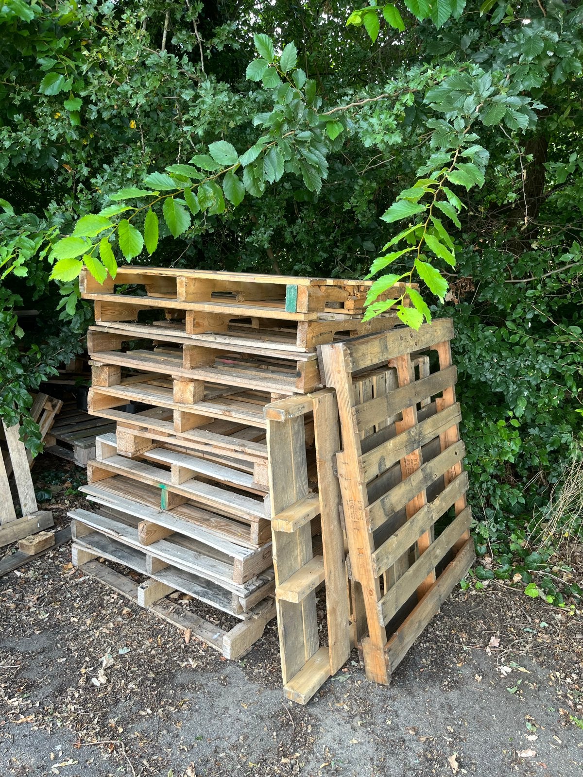 Gratis af te halen: Partij gebruikte pallets, Ophalen, Gebruikt