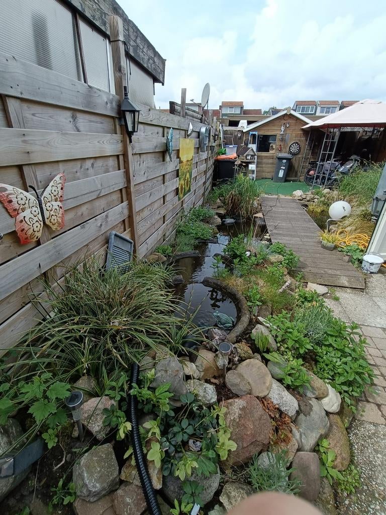 Vijveronderdelen: schalen, stenen, keien, waterplanten, Ophalen, Gebruikt, Overige typen