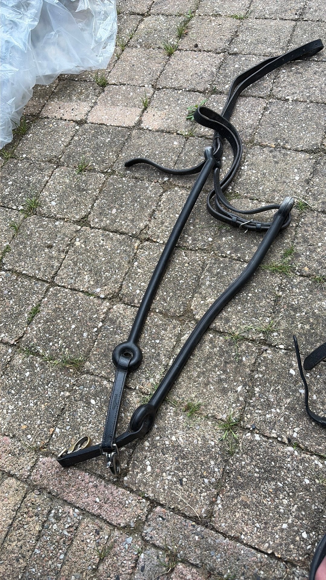 Bijzet teugels, Ophalen of Verzenden, Gebruikt, Teugels
