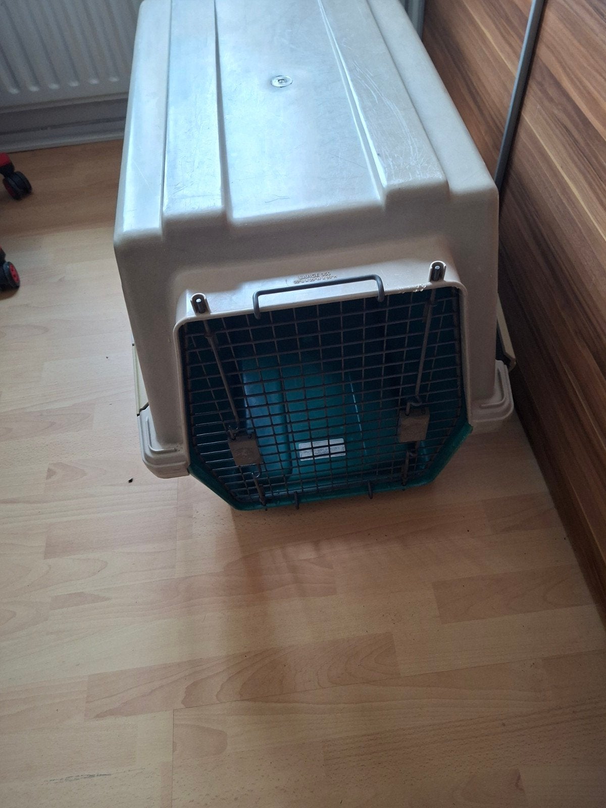 honden bence in bus vervoeren  groot auto, Ophalen