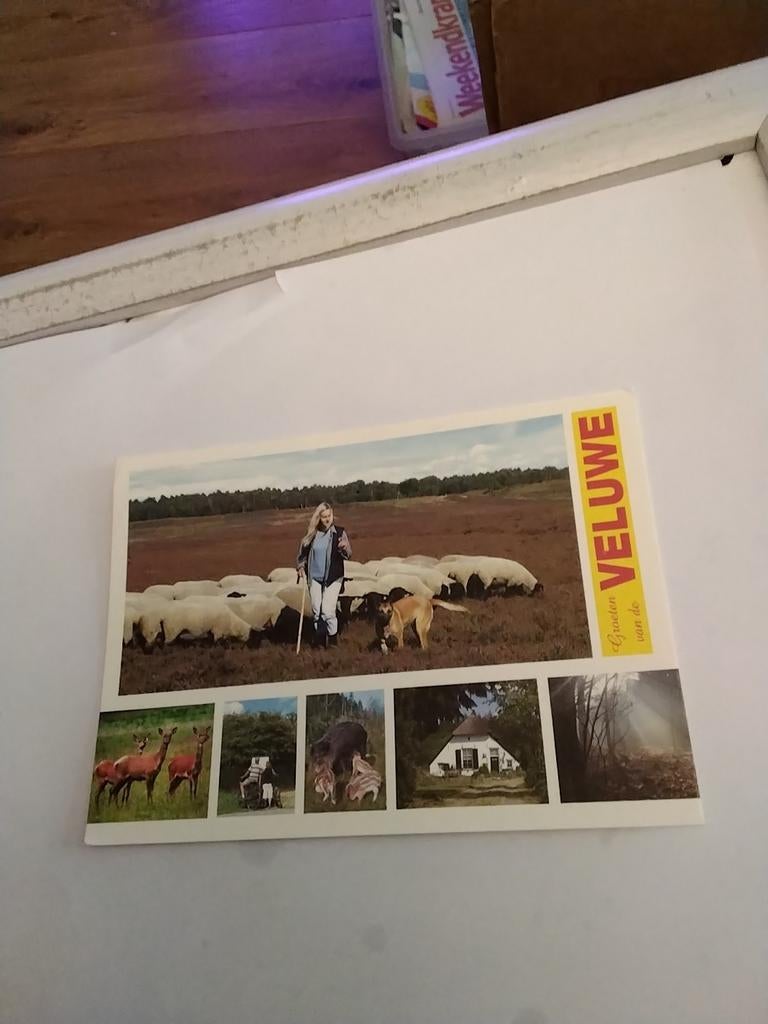 GROETEN VAN DE VELUWE, Ophalen of Verzenden, 1940 tot 1960, Gelderland