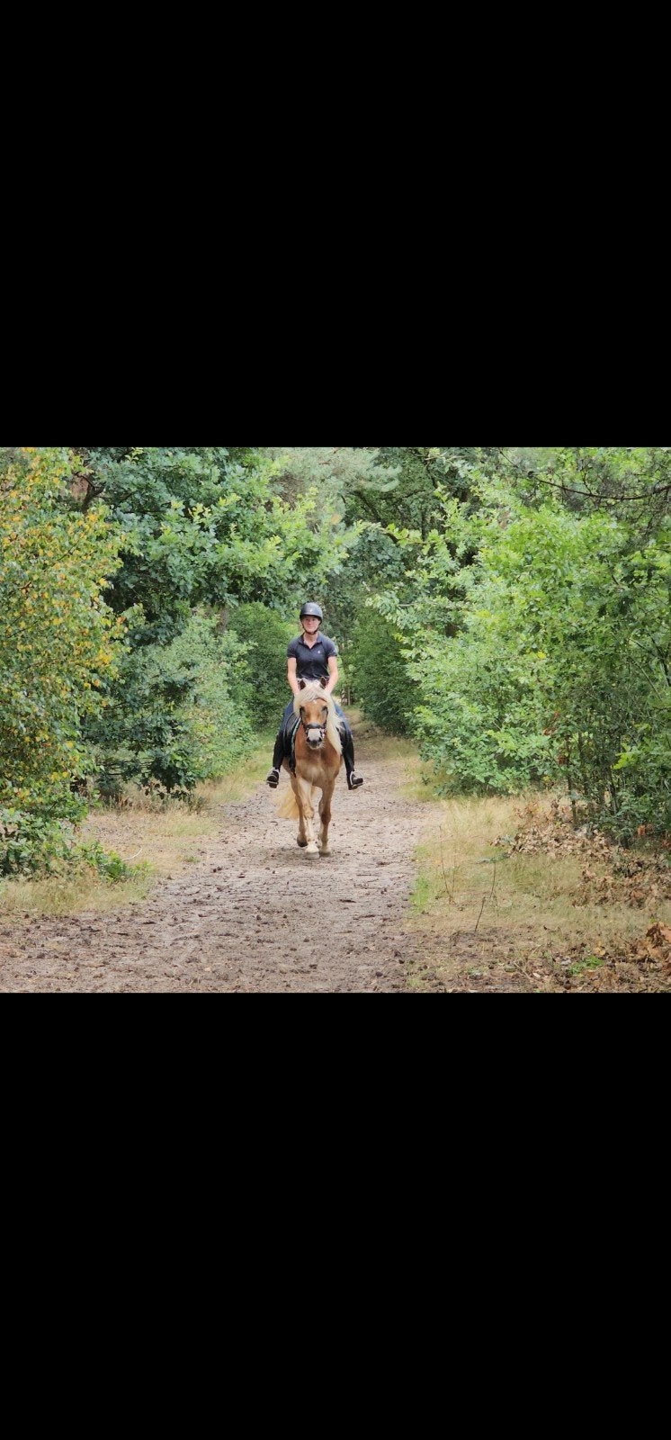Mooie 4,5 jarige Haflinger merrie te koop aangeboden., Merrie, Minder dan 160 cm, Dressuurpaard, 3 tot 6 jaar