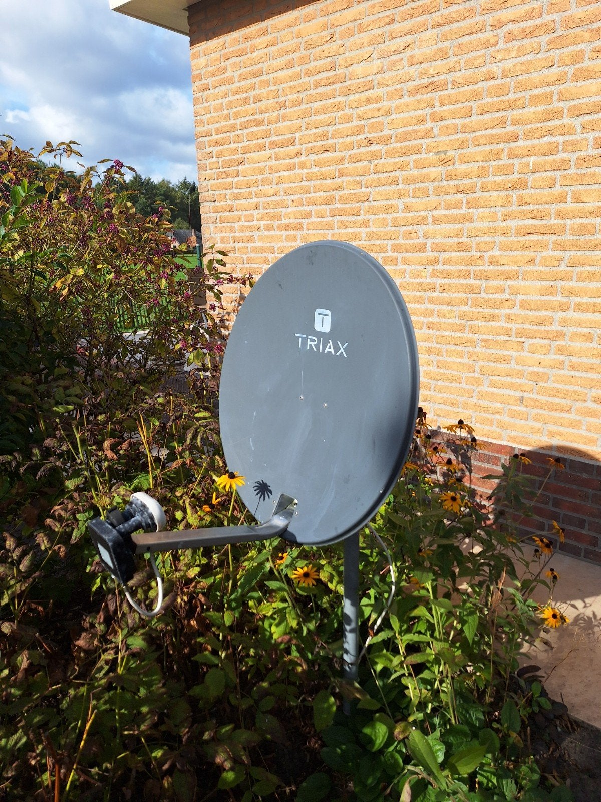 Te koop schotelantenne inclusief ontvanger, Audio, Tv en Foto, Ophalen of Verzenden, Overige merken