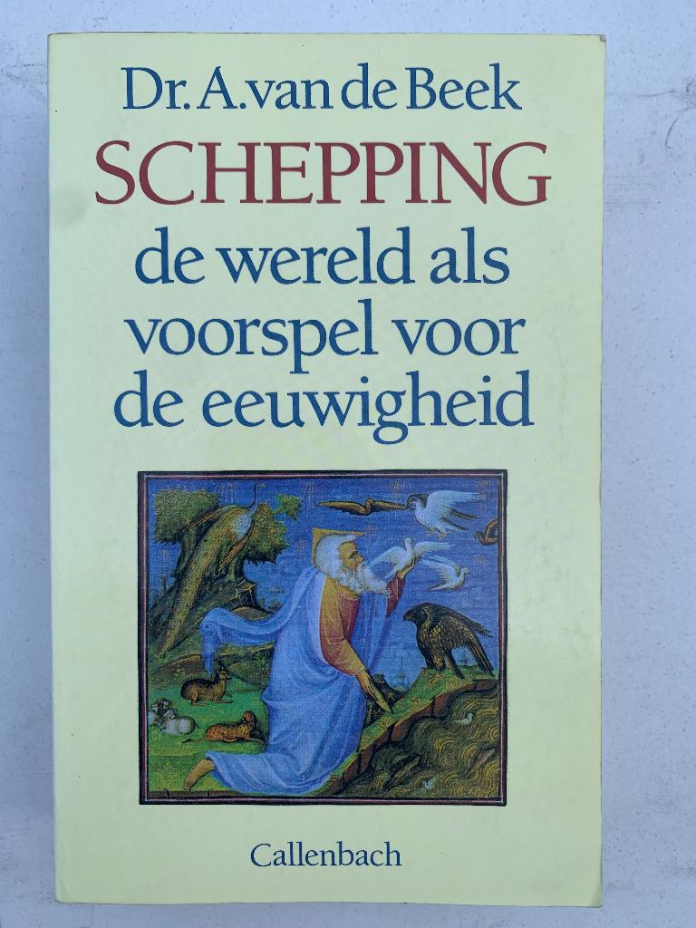 A. van de Beek – Schepping, Ophalen of Verzenden, Gelezen, Christendom | Protestants