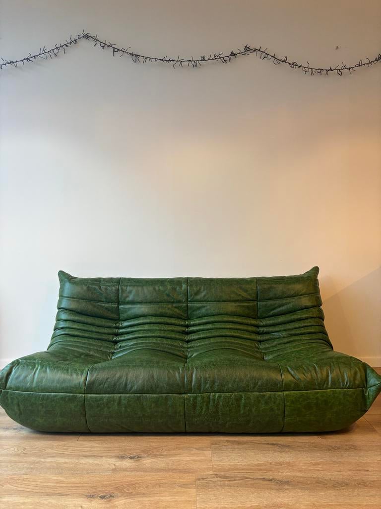 2x Togo Ligne Roset driezit - Nieuwstaat Groen Leer, Ophalen, Tweepersoons, Zo goed als nieuw, Rechte bank