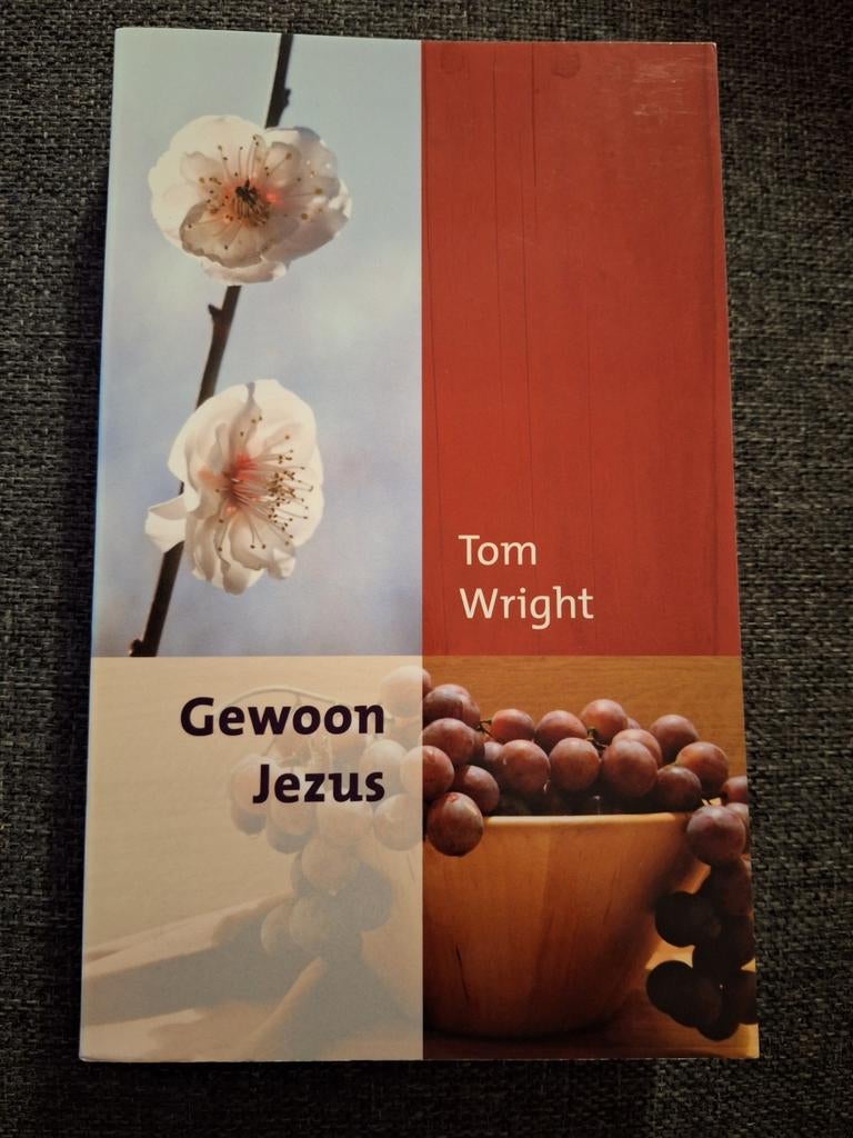 Tom Wright - Gewoon Jezus, Boeken, Godsdienst en Theologie, Zo goed als nieuw, Ophalen of Verzenden