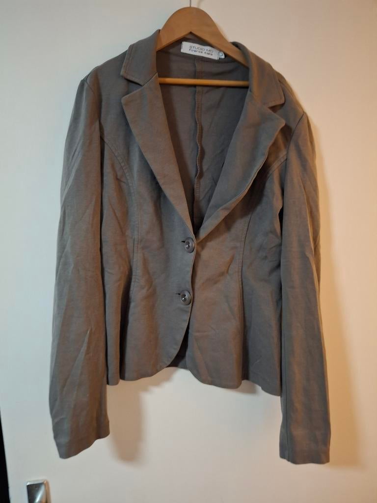 Blazer maat L merk studio mo, Kleding | Dames, Ophalen of Verzenden, Zo goed als nieuw