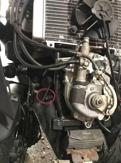 Reparatie rollock piaggio mp3 / yourban / fuoco onderhoud, Ophalen