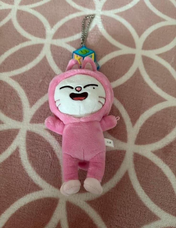 Stray Kids SKZOO Jiniret bag charm plush, Ophalen of Verzenden, Zo goed als nieuw