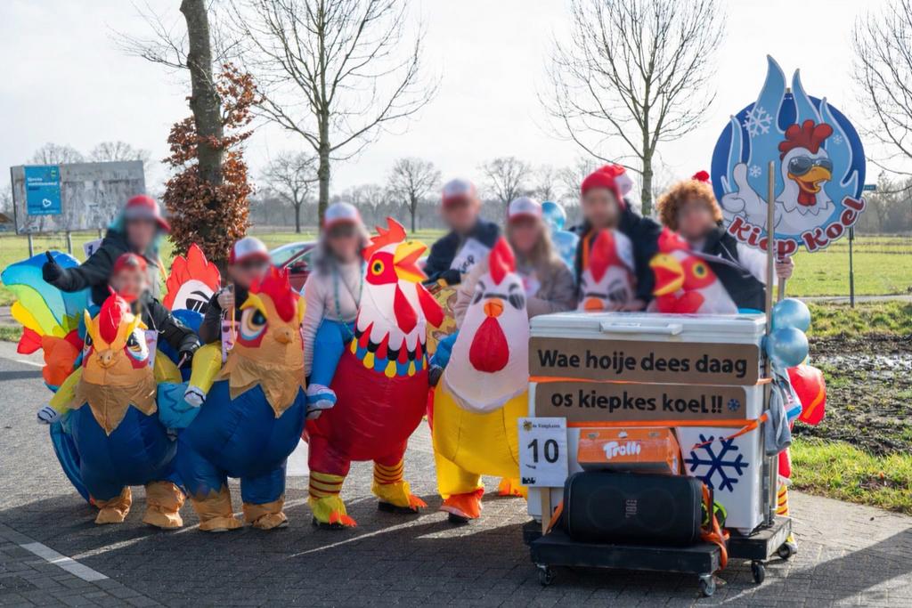 Kippenpak Carnaval - Leuk en origineel!, Maat 38/40 (M), Carnaval, Ophalen of Verzenden, Zo goed als nieuw