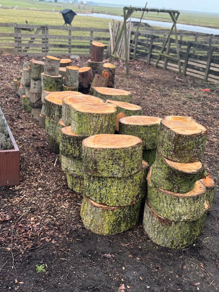 Boomstammen, hakblok, bijzettafel, decoratie, Tuin en Terras, Haardhout, Minder dan 3 m³, Ophalen, Overige houtsoorten, Stammen