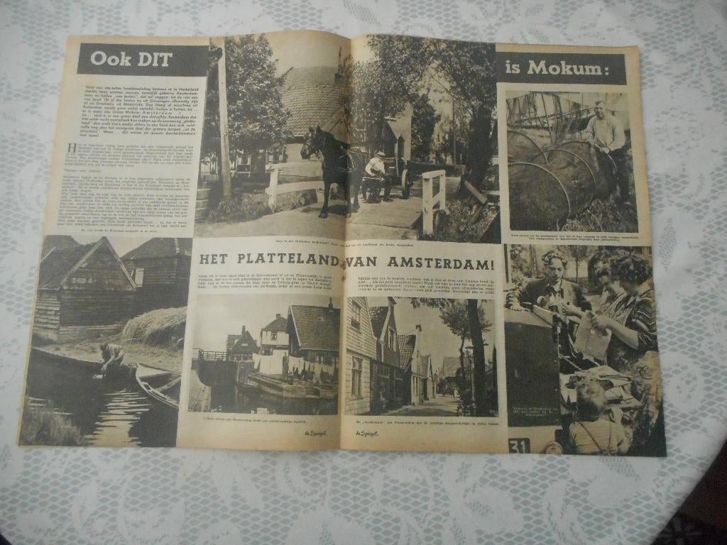 Amsterdam. Platteland. Mokum. 1954., Ophalen of Verzenden, 1940 tot 1960, Nederland, Knipsel(s)