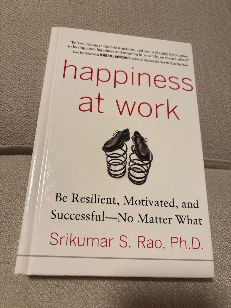 Happiness at Work - Srikumar S. Rao, Ophalen of Verzenden, Zo goed als nieuw, Management
