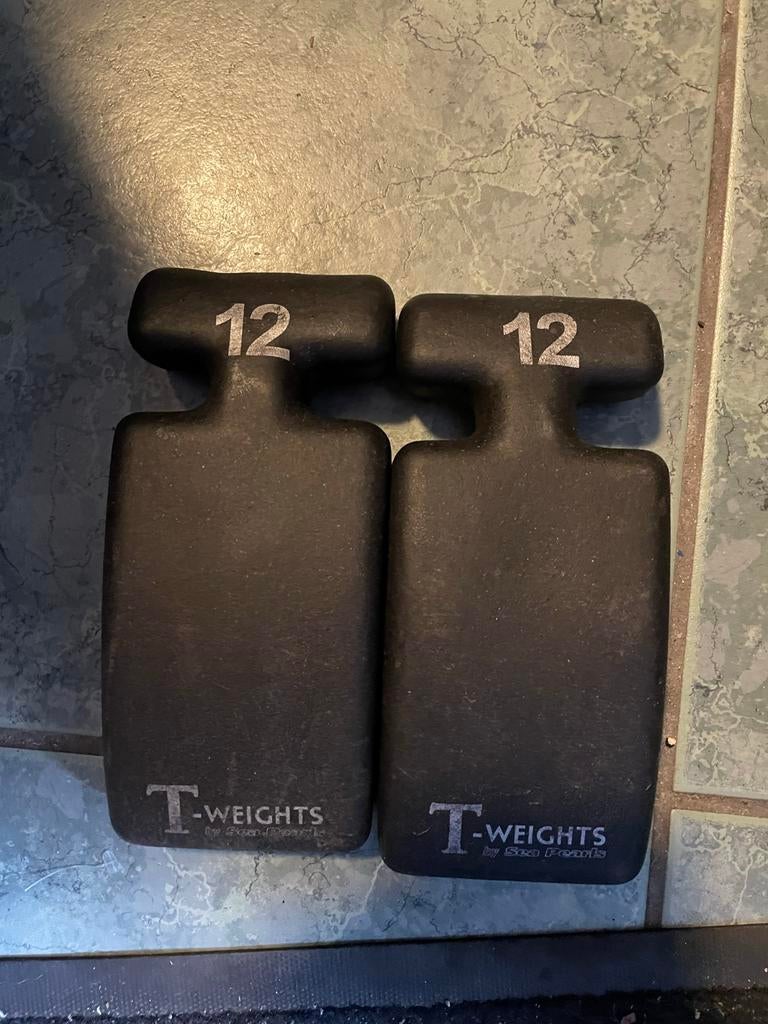 2 stuks 12 T-Weight, Watersport en Boten, Duiken, Ophalen of Verzenden, Gebruikt, Lood of Loodgordel