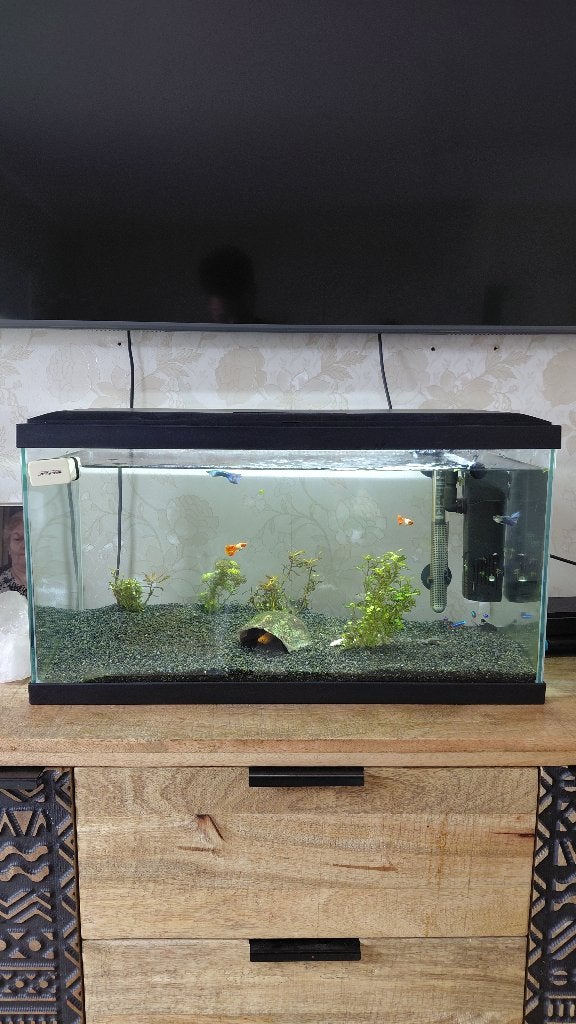 Aquarium LED 60x30x30 compleet., Dieren en Toebehoren, Ophalen, Verwarming, Zo goed als nieuw, Gevuld zoetwateraquarium