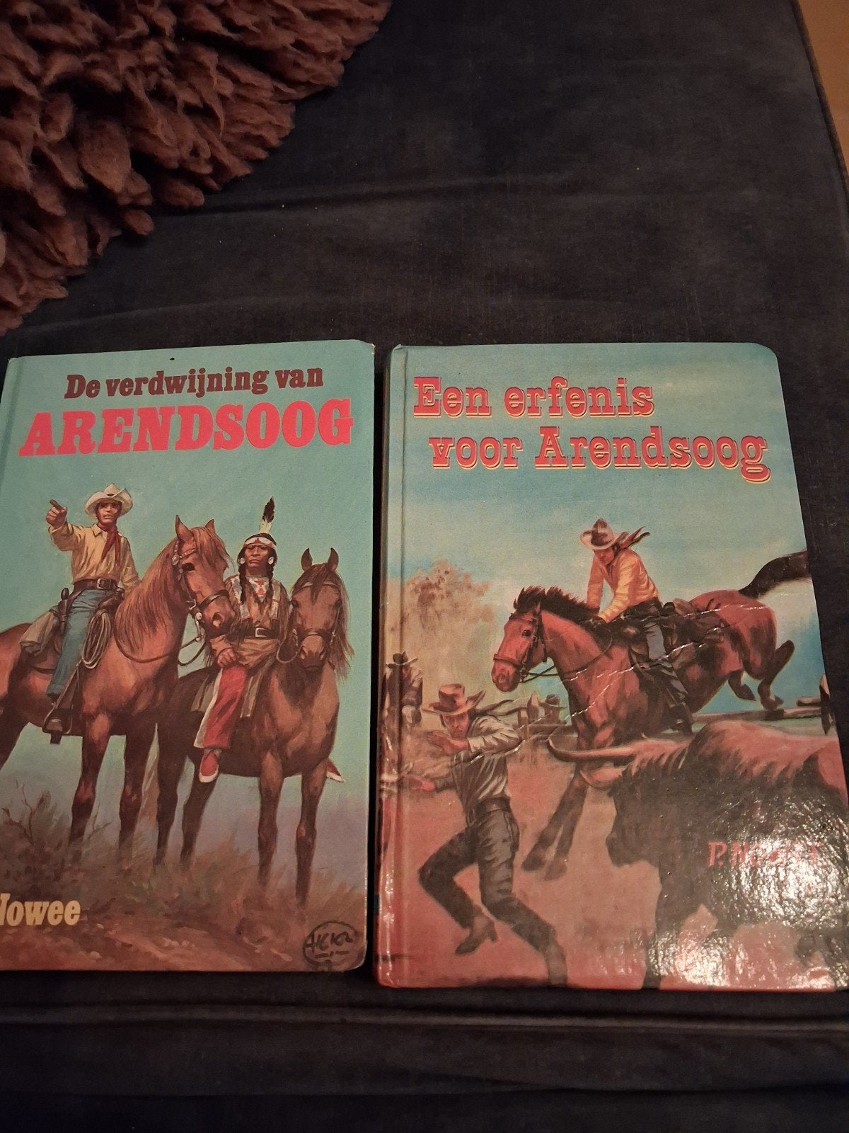 Arendsoog Boeken: De verdwijning & Een erfenis, Ophalen of Verzenden, Gelezen, L.P. C. Mountbatten