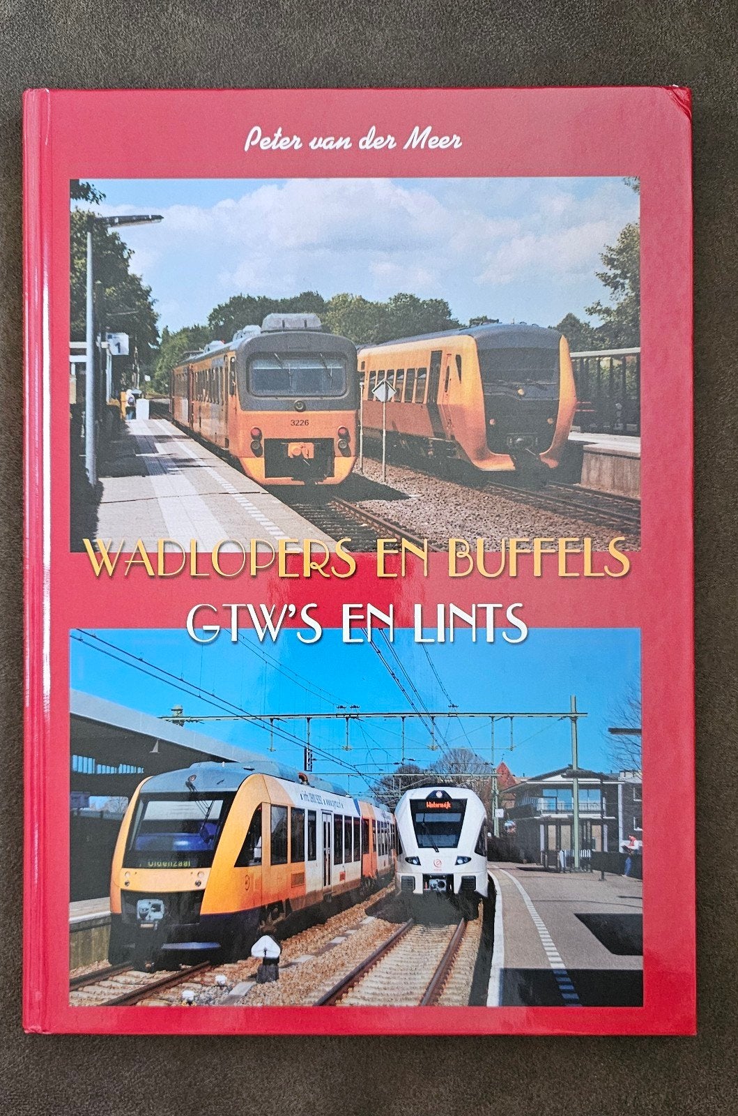 Wadlopers en Buffels: GTW's en Lints - Treinboek, Ophalen of Verzenden, Zo goed als nieuw, Peter van der Meer, Trein
