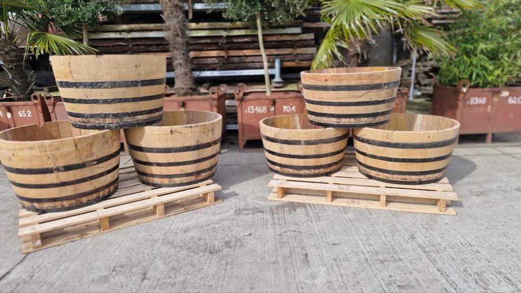 PALLET OPRUIMING  half wijnvat groot olijfboom  palmboom., Gebruikt, 100 cm of meer, Rond, Ophalen of Verzenden