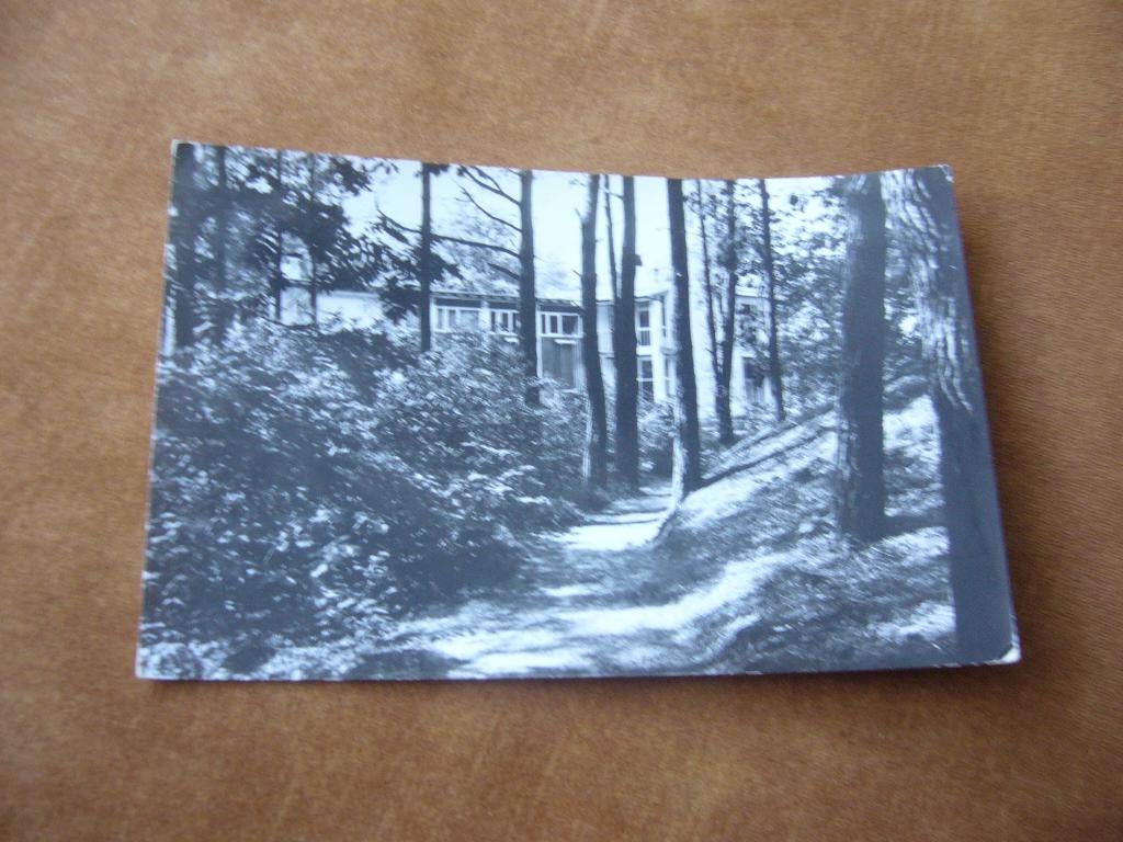 OSSENDRECHT  N.BR = DENNENHEUVEL - BOSPAD N HERSTELLINGSOORD, Ophalen of Verzenden, 1940 tot 1960, Gelopen, Noord-Brabant