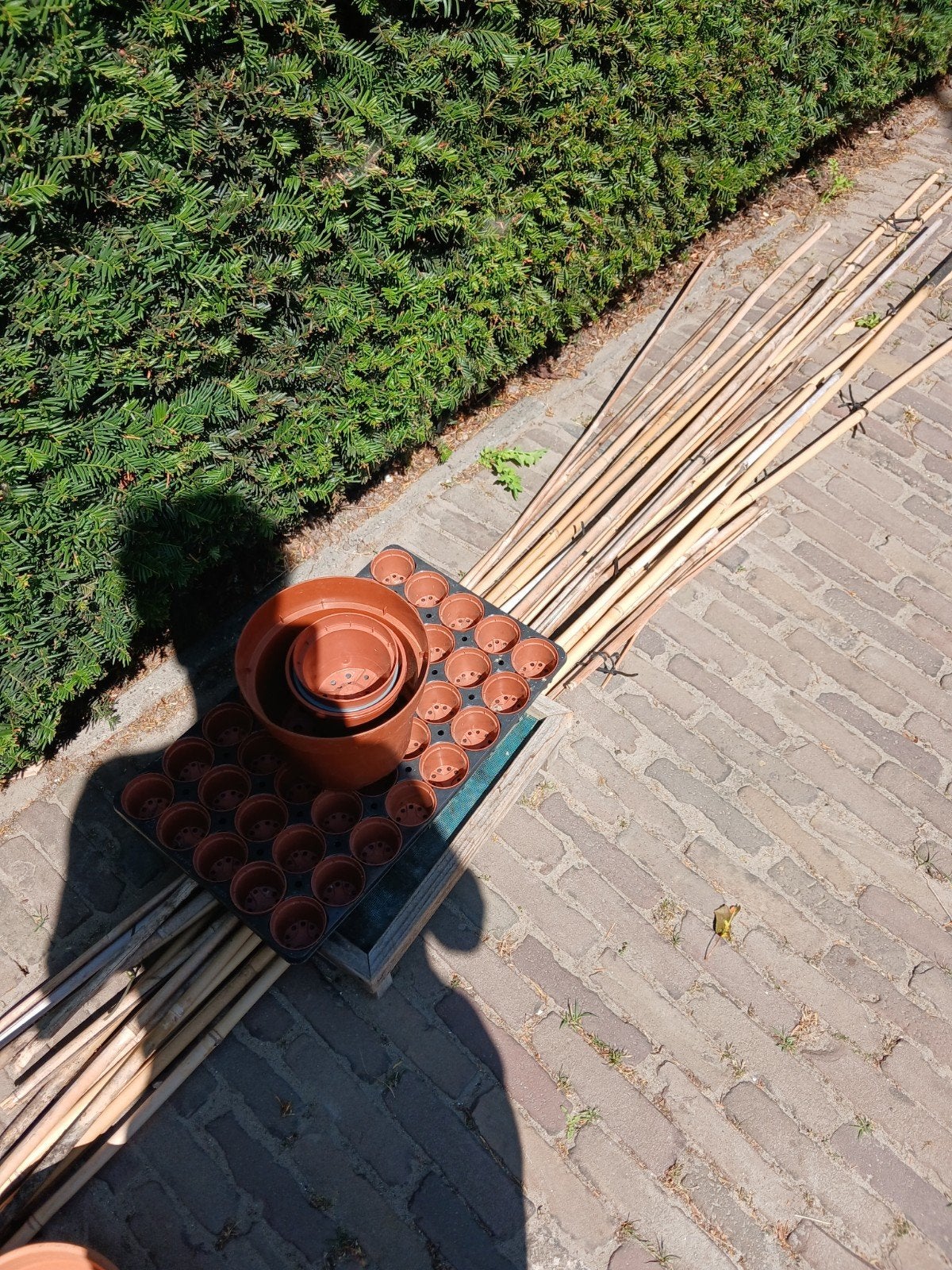 Bamboe stokken en plastic potjes voor kas/tuin, Ophalen, Gebruikt, 100 cm of meer, Overige vormen