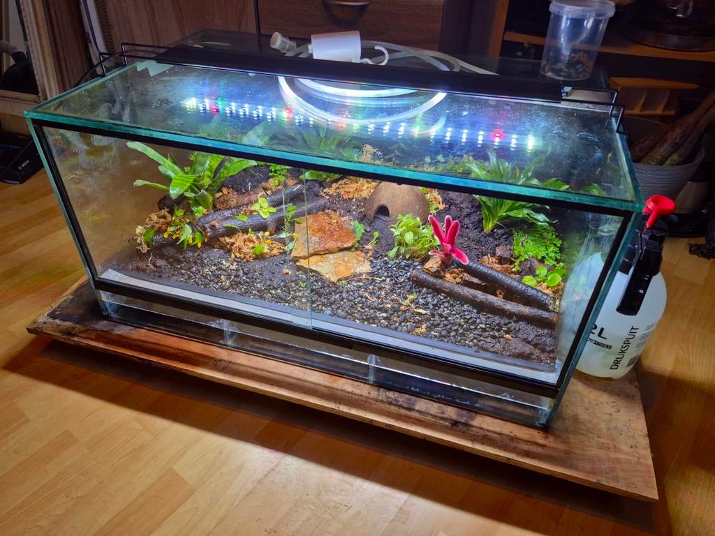 Paludarium Compleet Ingericht!, Ophalen of Verzenden, Zo goed als nieuw