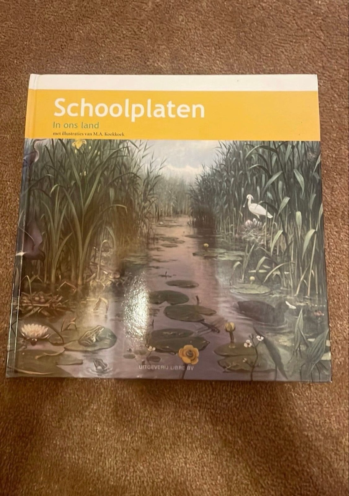 2x Boeken Schoolplaten: In ons land & Vogels en Insecten, Antiek en Kunst, Ophalen of Verzenden, Natuur en Biologie