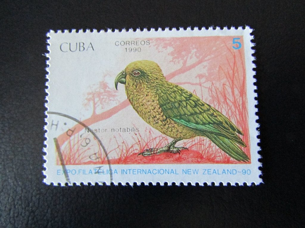 Postzegel Vogel: Kea uit Cuba, Ophalen of Verzenden, Gestempeld, Dier of Natuur
