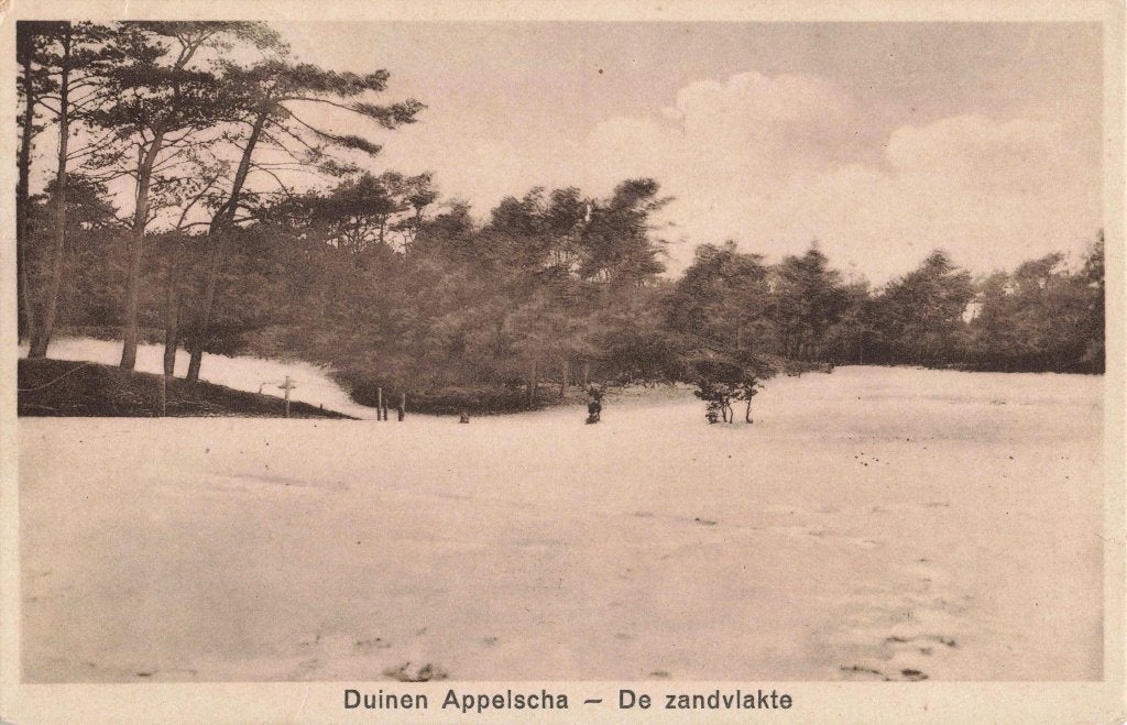 Appelscha Duinen de Zandvlakte L3024, Verzamelen, Ophalen, 1920 tot 1940, Gelopen, Friesland