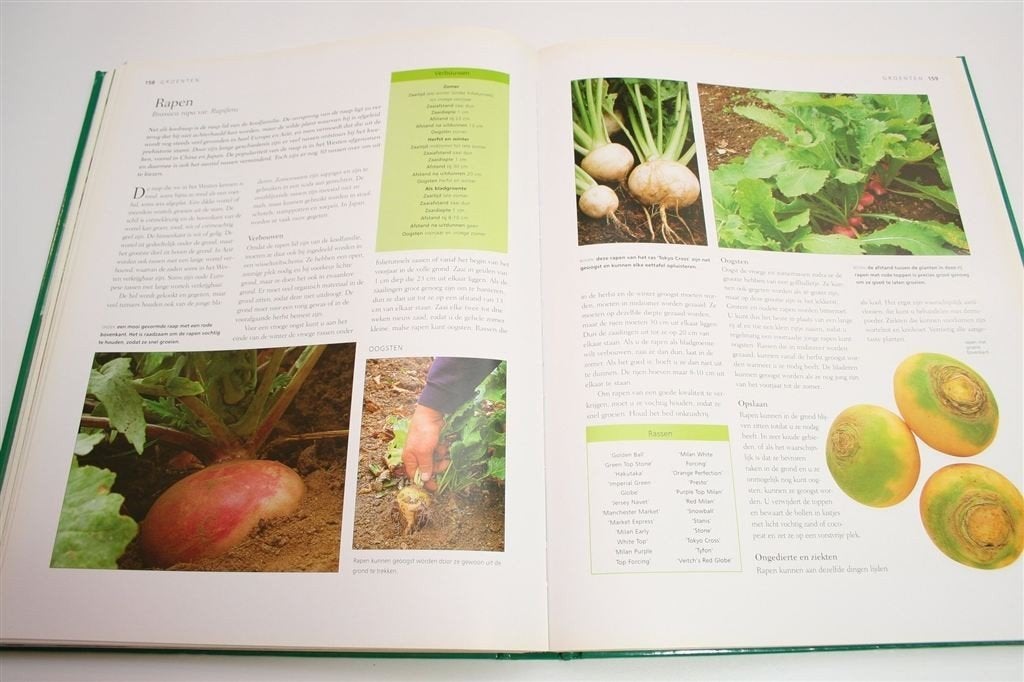 Het Moestuinboek — Groot Formaat, Rijk Geïllustreerd, Boeken, Ophalen of Verzenden, Gelezen, Interieur en Design