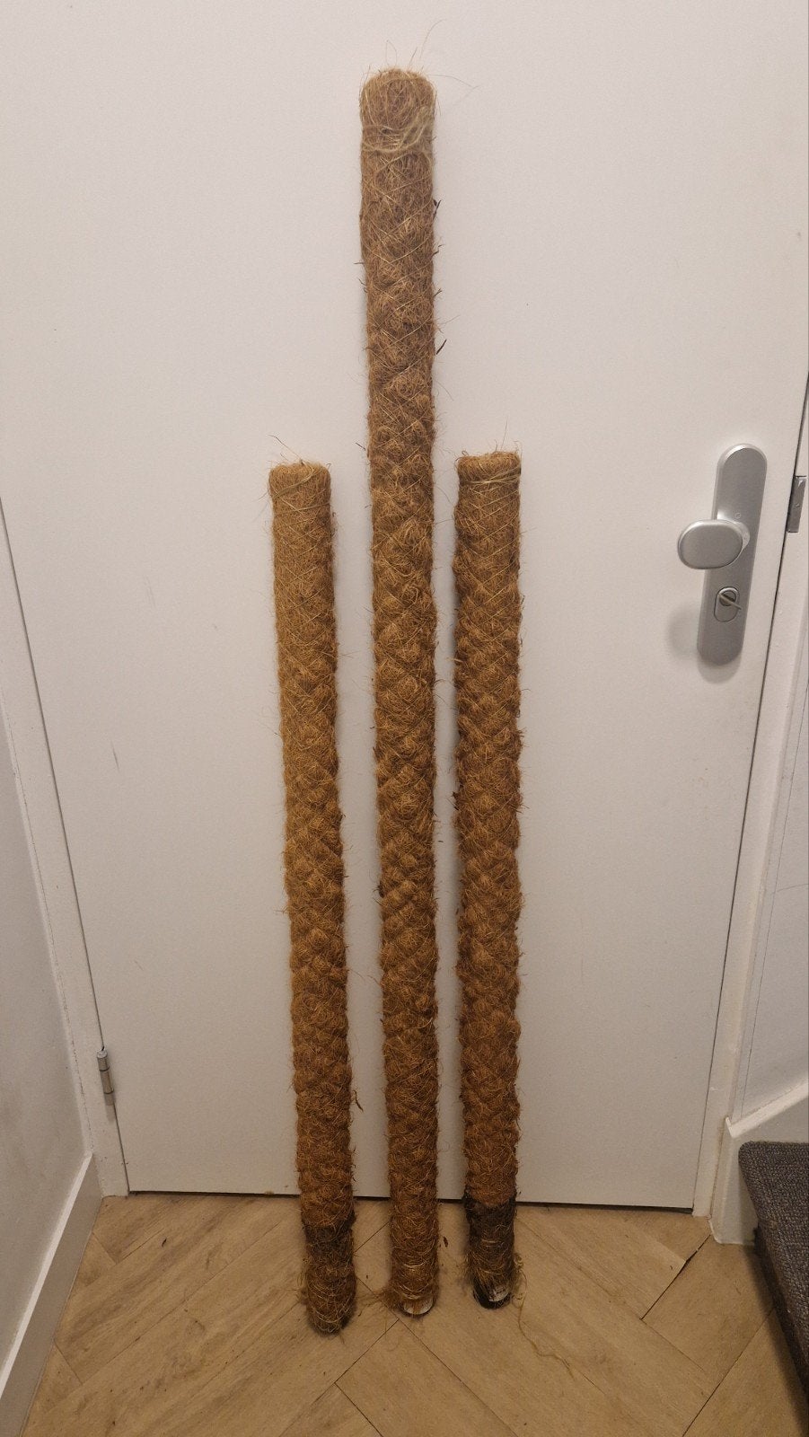 Mosstok / Plantenstok 3stuks (kokos) voor klimplanten, Ophalen, Gebruikt