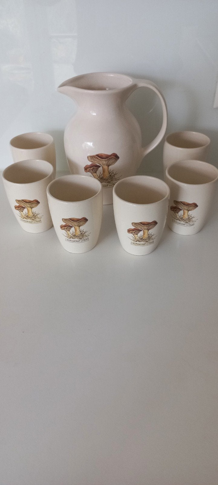Jet Servies Kan plus 6 mokken, Ophalen of Verzenden