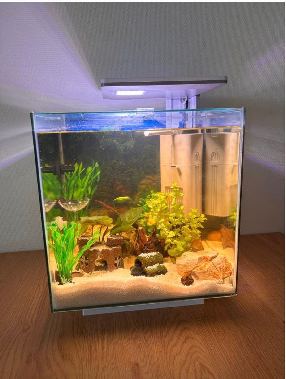 Aquarium 30 liter nieuw, Dieren en Toebehoren, Vissen | Aquaria en Toebehoren, Ophalen, Nieuw, Leeg aquarium