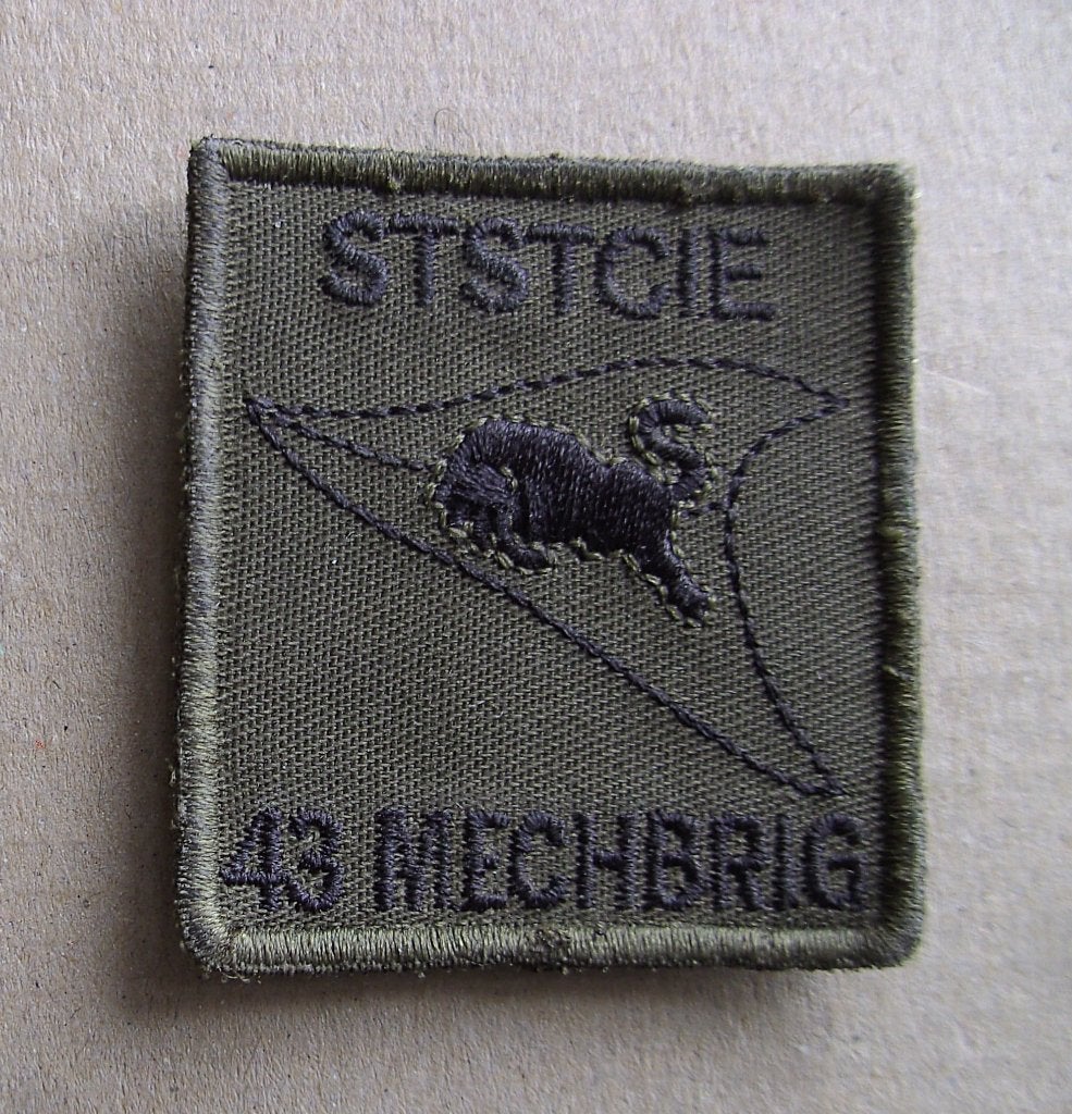 5x5 embleem - St.St. Cie. 43 Mech. Brig., Ophalen of Verzenden, Landmacht, Nederland, Embleem of Badge