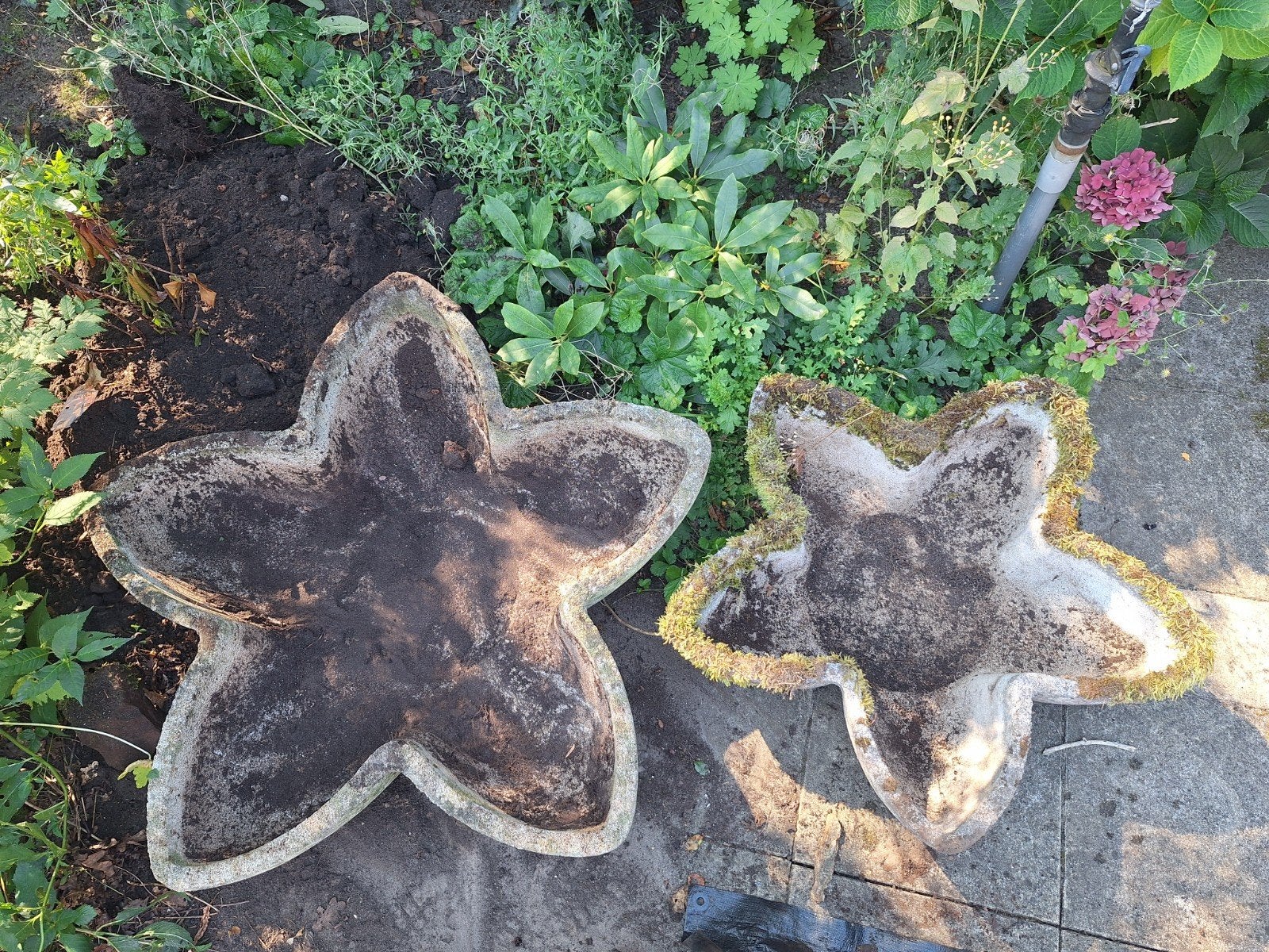 2 grote betonnen bloembakken korrelbeton stervorm bloemvorm, Ophalen, Minder dan 30 cm, 100 cm of meer, Zo goed als nieuw