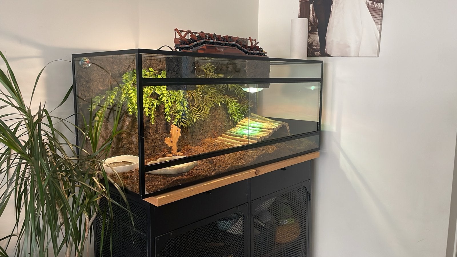 Terrarium 100x40x50, Ophalen, Gebruikt, Terrarium of Paludarium