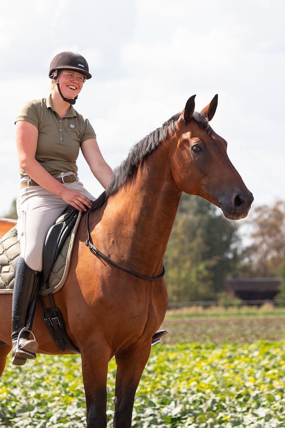 Training & instructie aangeboden - Omgeving Limburg, Dieren en Toebehoren, Z