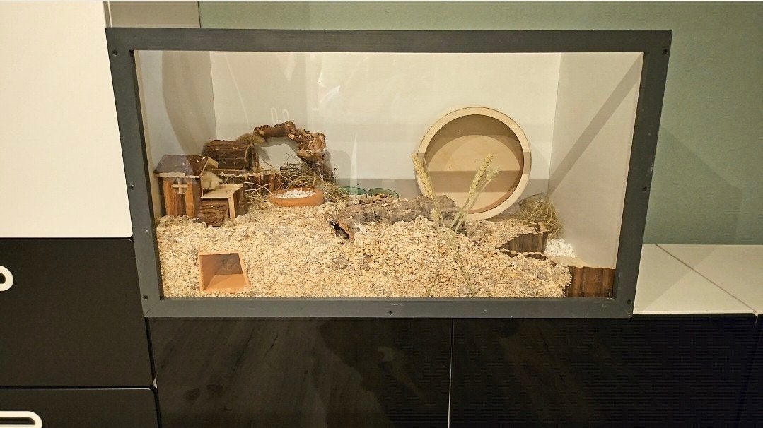 Hamster verblijf 52 diep 52 hoog 94 breed, 75 tot 110 cm, Ophalen, Minder dan 60 cm, Hok