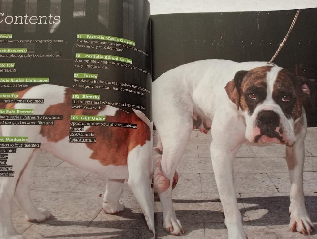 GUP Magazine 15 - Guide to Unique Photography, Ophalen of Verzenden, Gelezen, Fotografie algemeen, Diverse auteurs