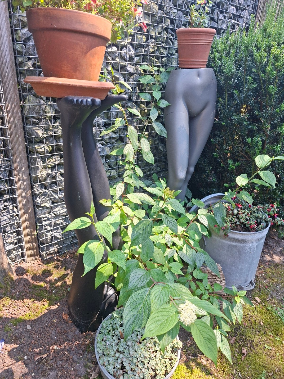 Paspop benen, Ophalen