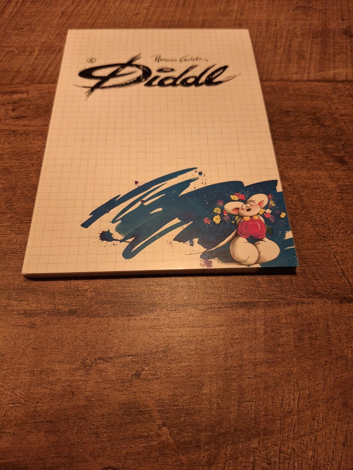 Diddl A5 Blok nr. 160 met 45 blaadjes, Ophalen of Verzenden, Diddl, Gebruikt, Papier, Kaart of Schrift