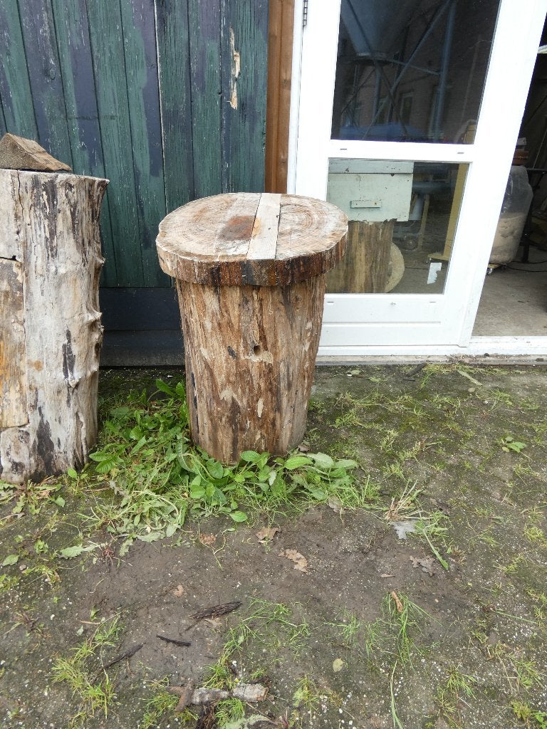 boomstam bijenkast, Bijen