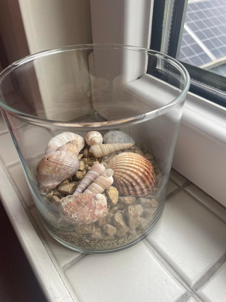 Vaas met schelpen, Ophalen, Zo goed als nieuw