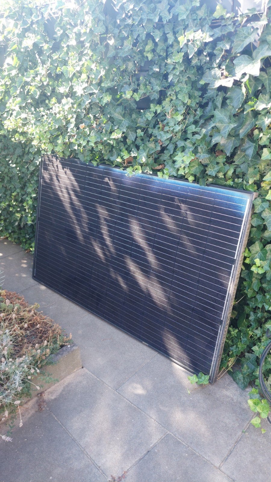 Zonnepaneel Longi Solar, Ophalen, Gebruikt, Overige merken, Overige typen
