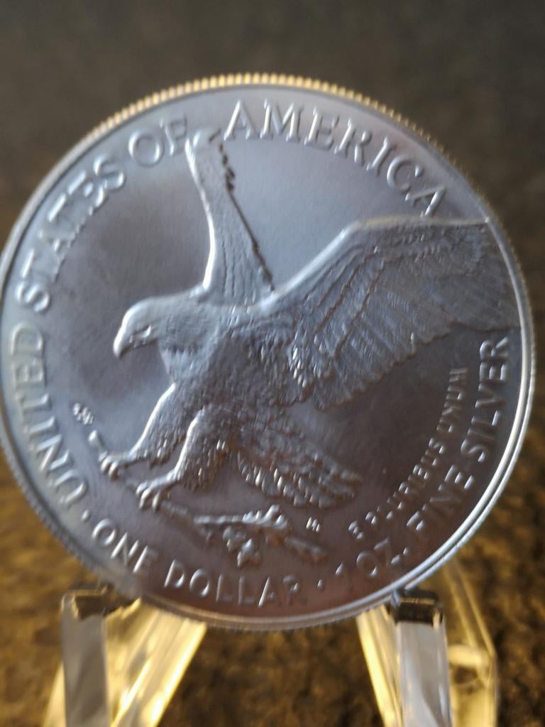 American silver Eagles privy, Ophalen of Verzenden, Noord-Amerika, Losse munt, Zilver